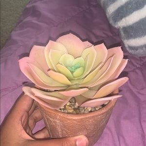 fake / rubber flower pot